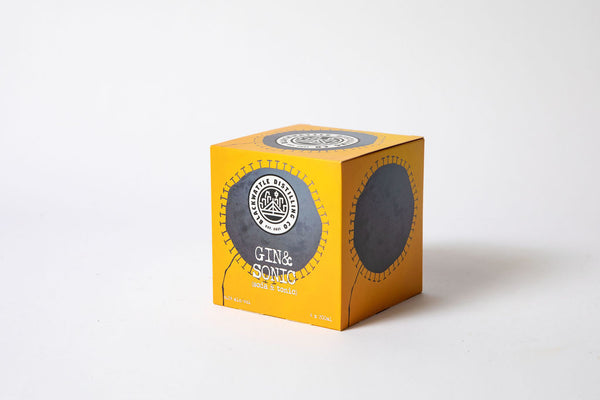 Gin & Sonic 4 Pack (4 x 200ml Can, 6.2%ABV)