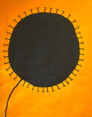 Blackwattle flower for our Dry Sydney Gin