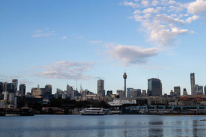 Blackwattle Bay in Sydney's Inner West